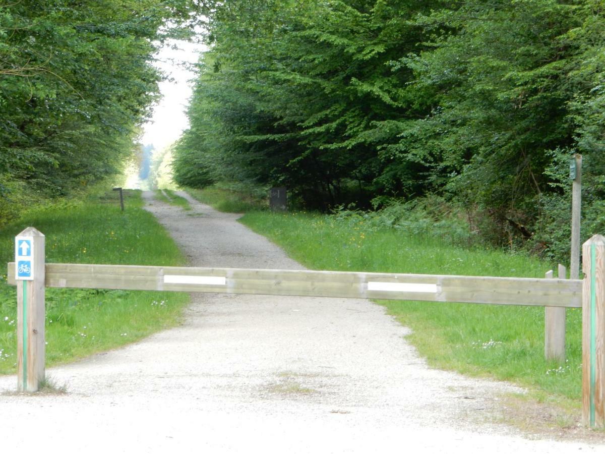 ENTRE LOIRE ET CHER Grand Gîte Côté Tilleul Tour-en-Sologne Extérieur photo